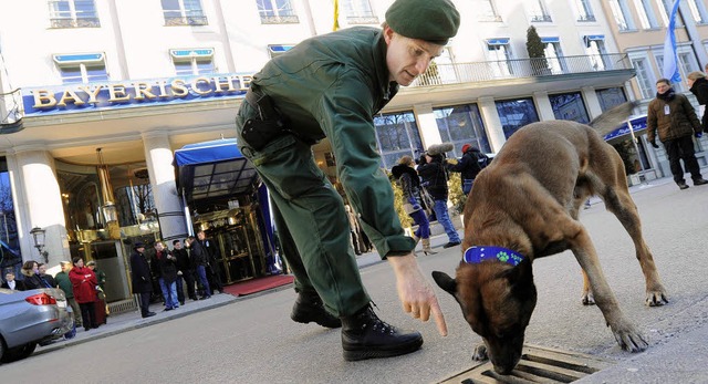 Sicherheit fr die Sicherheitskonferenz: Ein Polizeihund prft einen Gulli.  | Foto: DPA