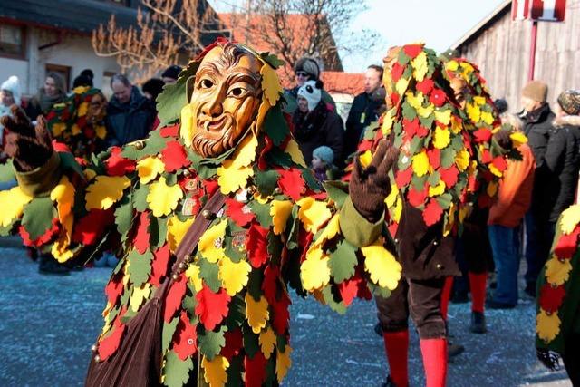 Fotos: Groe Narrenparade in Gndlingen