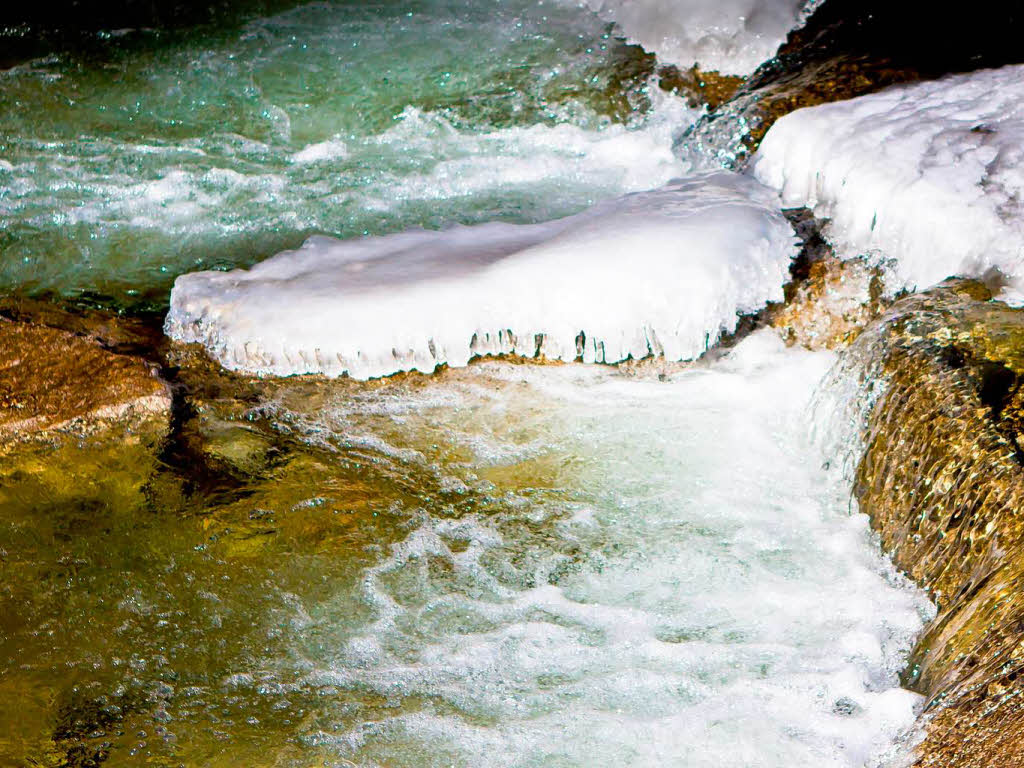 Eisgebilde an der Dreisam in Freiburg