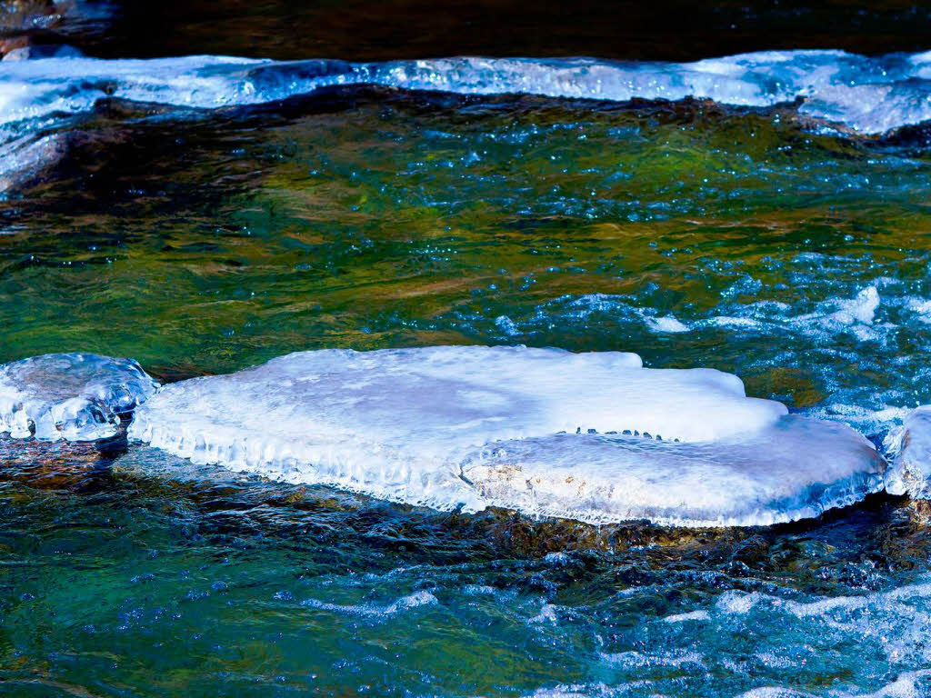 Eisgebilde an der Dreisam in Freiburg