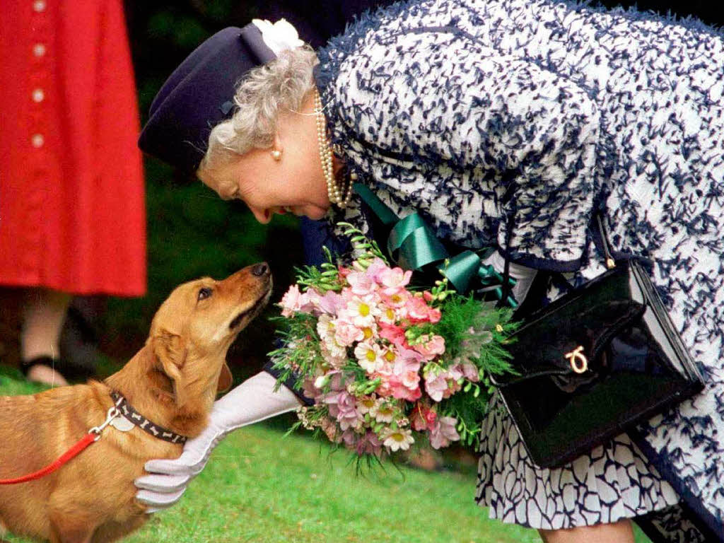 Die Queen mit einem ihrer Corgi-Hunde
