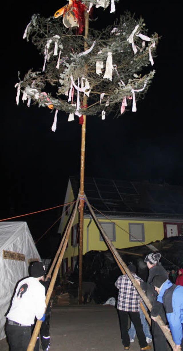 Mit vereinten Krften wurde am Samstag...Guggenbaum in Ringsheim aufgestellt.    | Foto: A. Mutz