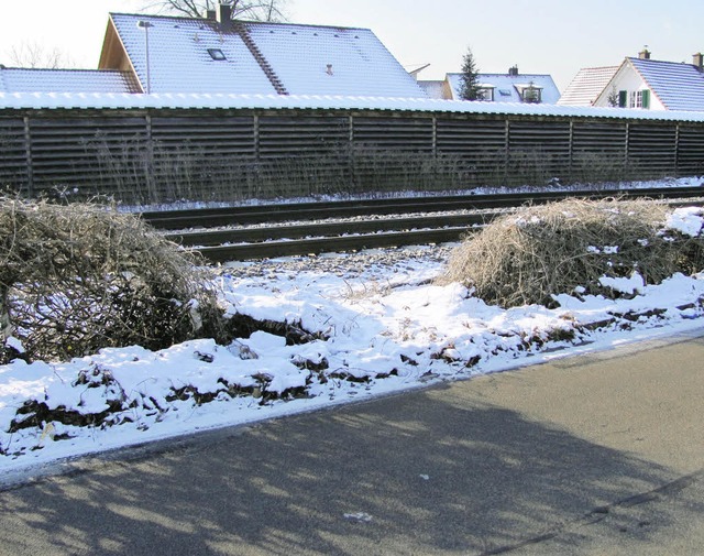 Direkter Zugang auf die Gleise in Warmbach   | Foto: Privat