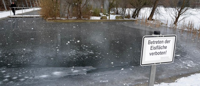 Der Winter friert das Leben ein &#8211; nicht nur im Dreilndergarten.   | Foto: Jochen Fillisch