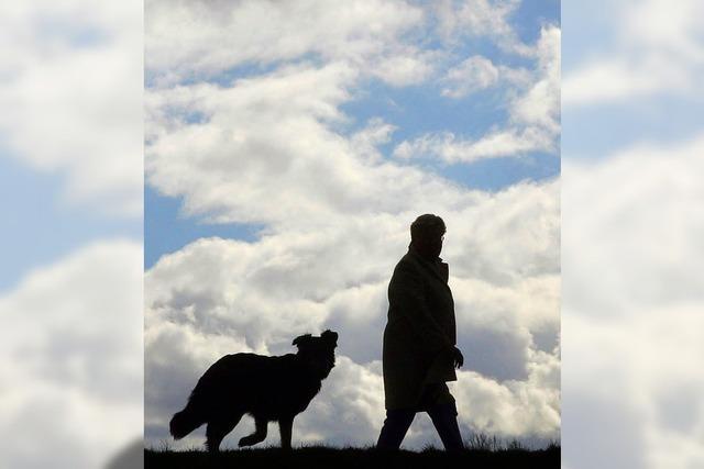 Hundesteuer bleibt auf hohem Niveau