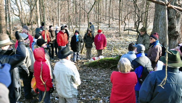 Weitgehend frostresistent waren die Te...r der Winterwanderung im Flussauewald.  | Foto: Stadt kenzingen