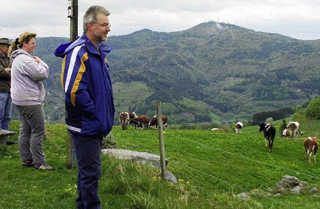 Adelsberger Rinder am Zeller Blauen 20...igerung frei gewordener Pachtflchen.   | Foto: Paul Berger/Archiv