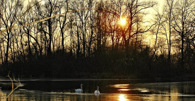   | Foto: Wilhelm Billharz