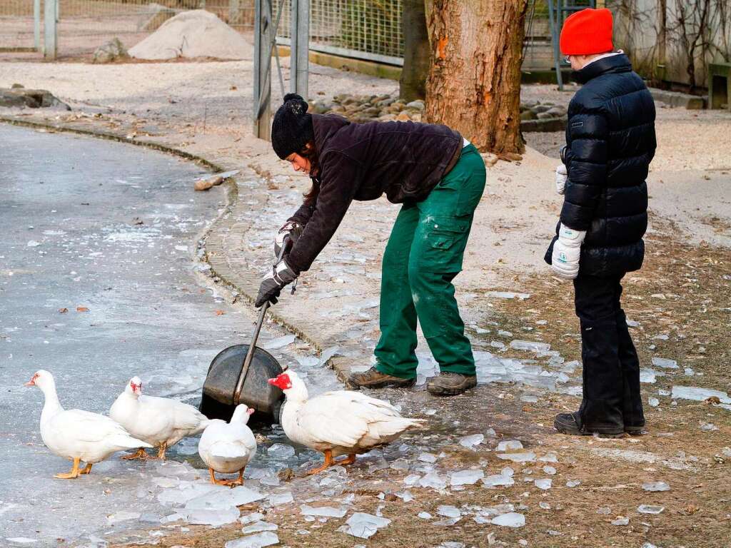 Tierpfleger am Mundenhof hacken eine Wasserstelle fr die Enten frei