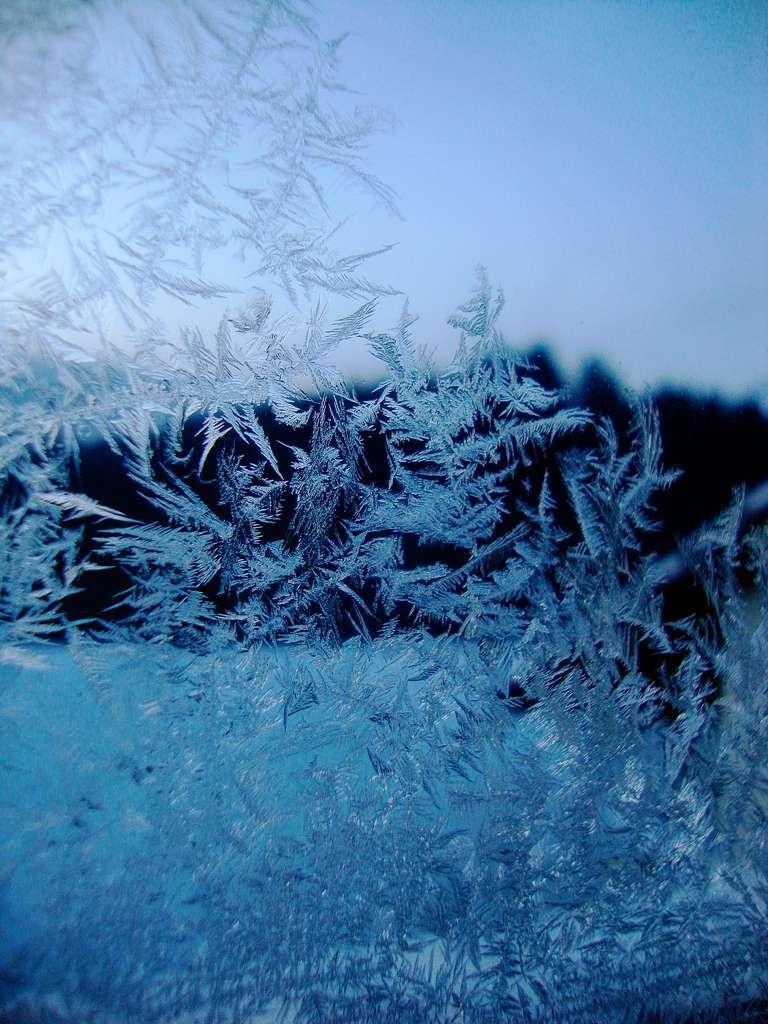 Frostige Eisblumen am Fenster im Mnzenried / Horben