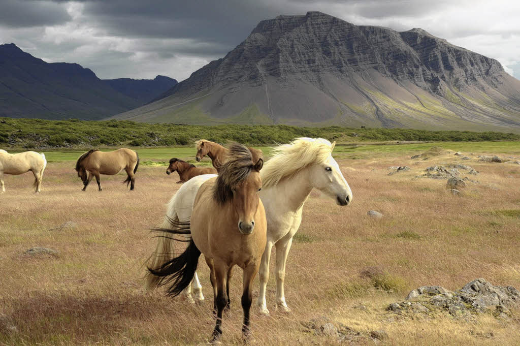 Multivisionsvortrag über Island Freizeittipps Badische Zeitung