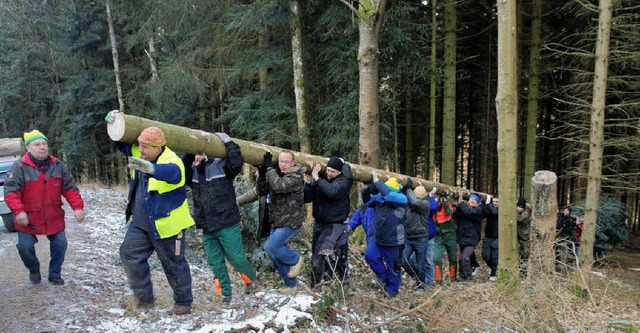 Teamwork im wahrsten Sinn des Wortes -...um aus dem Wald zum Forstweg zu tragen  | Foto: Welschkorngeister