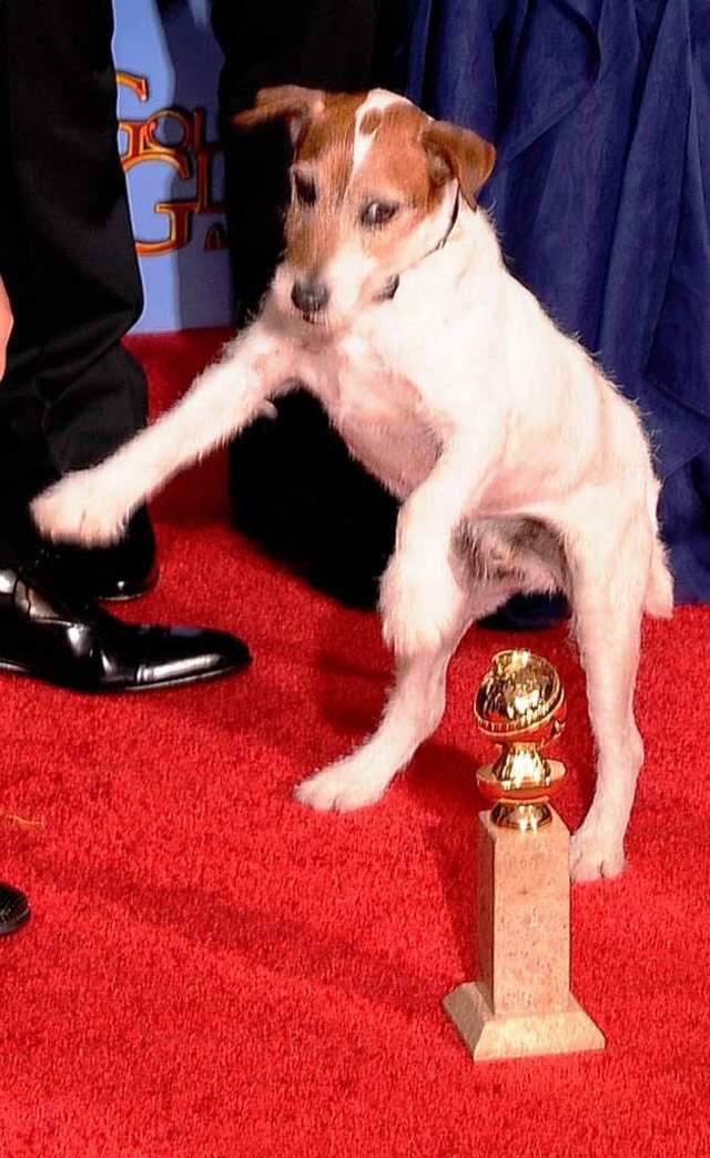 Uggie posiert mit dem Golden Globe Awa...#8222;The Artist&#8220; gewonnen hat.   | Foto: afp