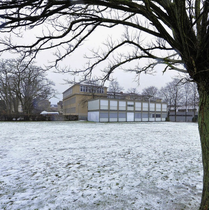 Zur Gerhart-Hauptmann-Schule soll eine neue Kita ziehen <ppp></ppp>  | Foto: Michael Bamberger
