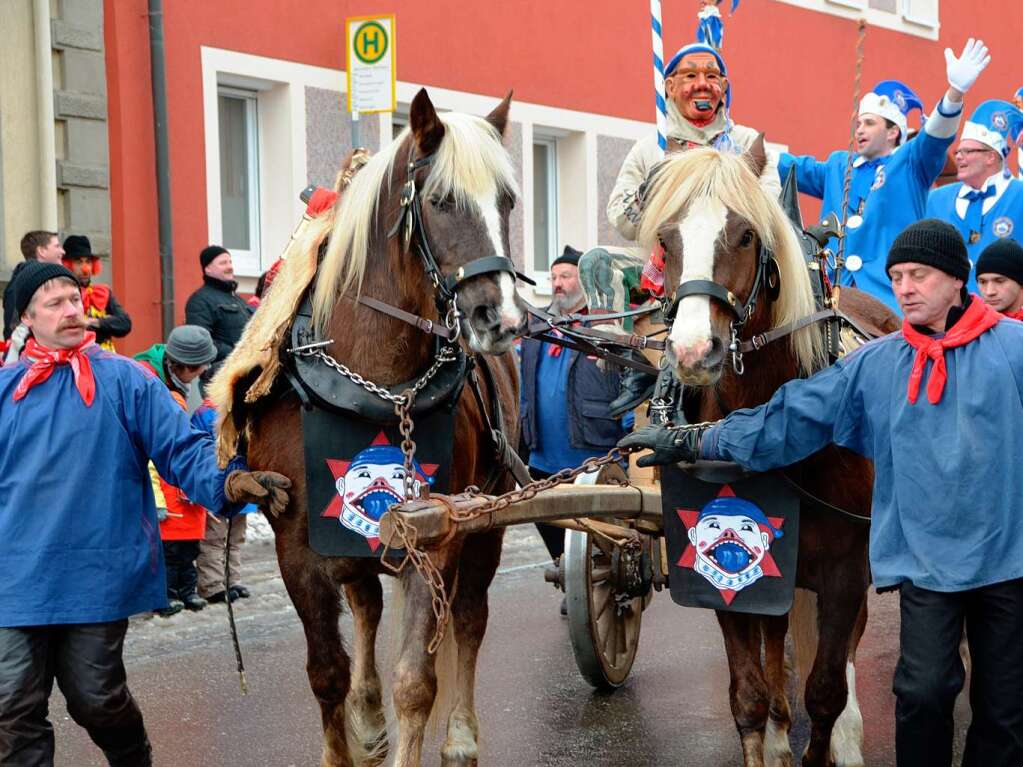 Krftige Schwarzwlder ziehen den Stammen mit dem Narrenrat.