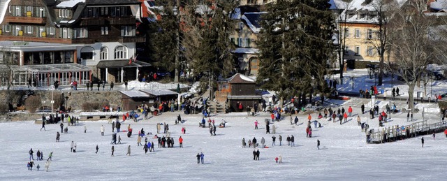 Schlittschuhlufer und Spaziergnger v...en sich auf dem zugefrorenen Titisee.   | Foto: Patrick Seeger/dpa