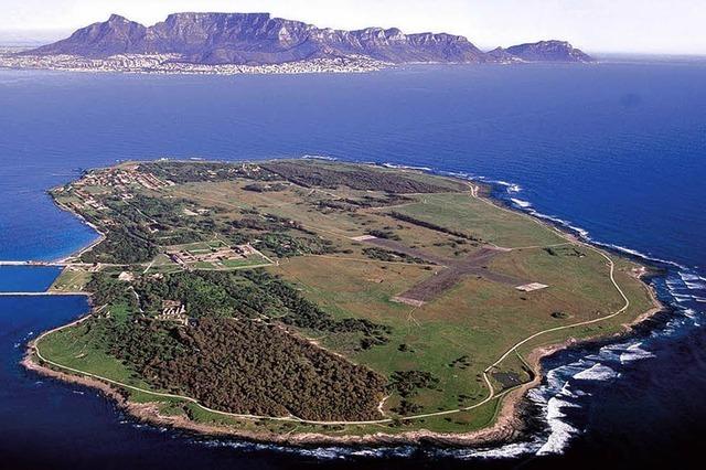 Kaninchen bedrohen Gefängnisinsel Robben Island