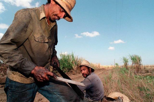 Das mysterise Leiden der Landarbeiter in Mittelamerika