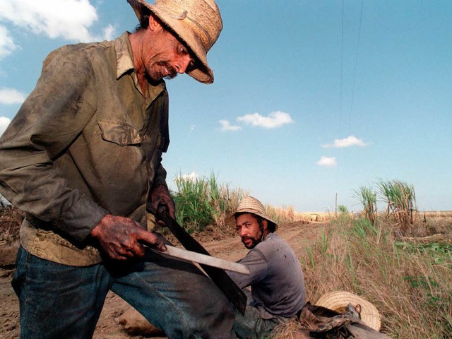 Zuckerrohrarbeiter am Rande einer Plantage.   | Foto: FOTOLIA/DPA