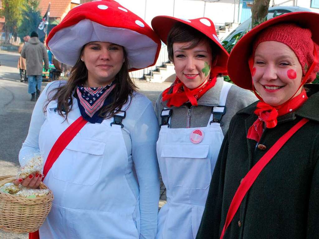 Impressionen vom Vogtsburger Narrentreffen in Schelingen.