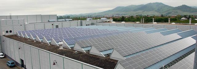 Solarzellen auf dem Dach und die Umwel...eltfreundlichkeit   viel Geld kosten.   | Foto: Seller