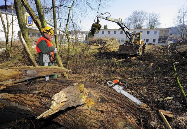 Auf dem Gelnde, auf dem die S.A.G. ih... der Firma Forstbetrieb Franz am Werk.  | Foto: Thomas Kunz