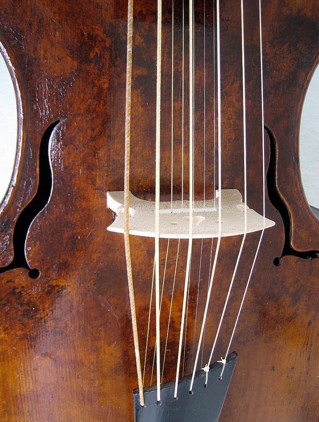 Seltenes Instrument der Alten Musik: Viola da gamba d&#8217;amore  | Foto: Pro