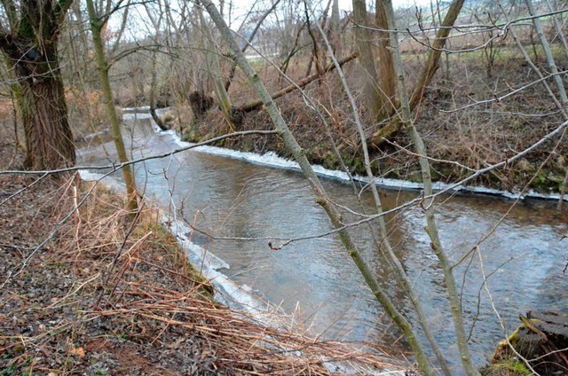 Oberhalb der Tennispltze, wo unser Fo...chwasser der Kander geschaffen werden.  | Foto: M. Maier