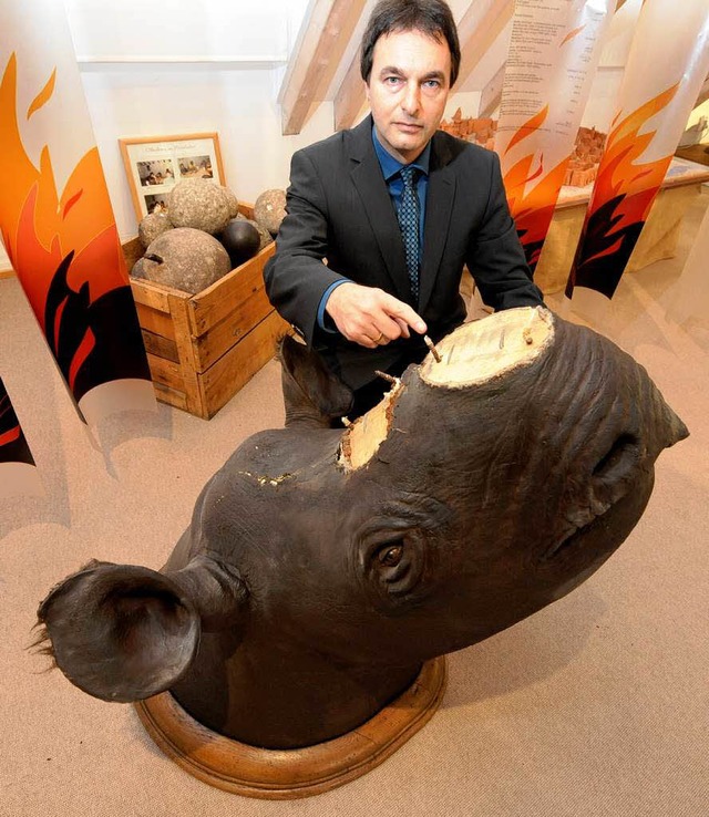 Museumsleiter Wolfgang Gall mit dem enthornten Nashorn.  | Foto: dapd