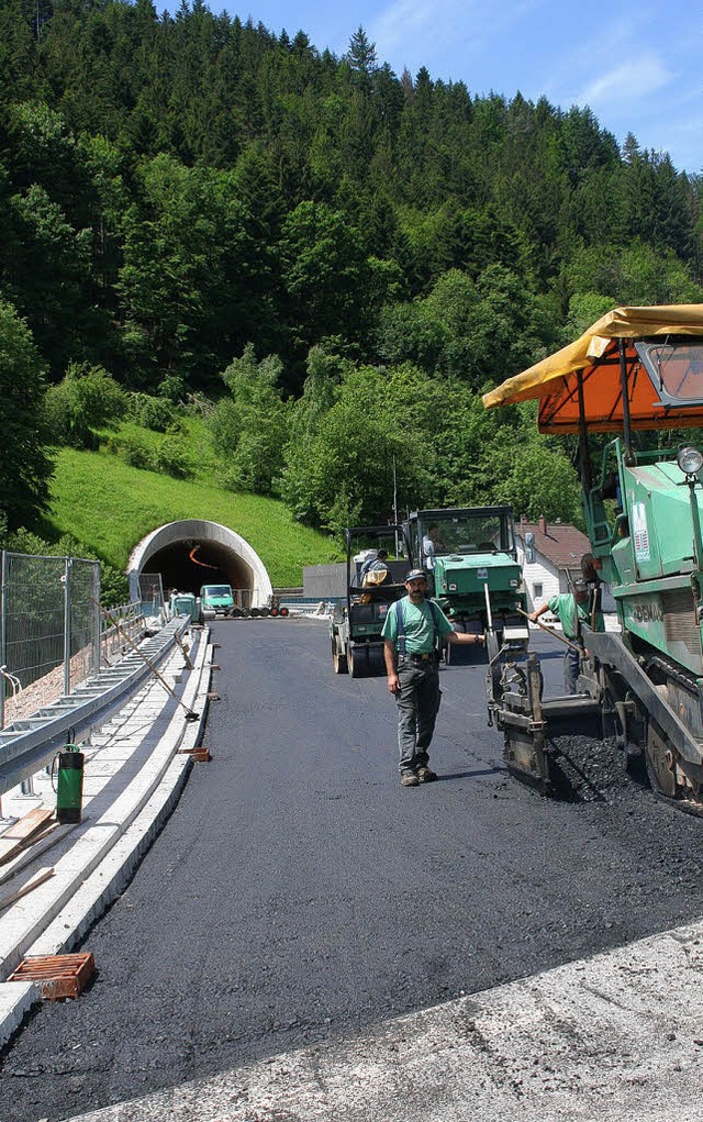 Bislang ist der 2006 fertiggestellte H...ens-Trassen- Tunnel streitig machen.    | Foto: Karl-Hans Heinzmann