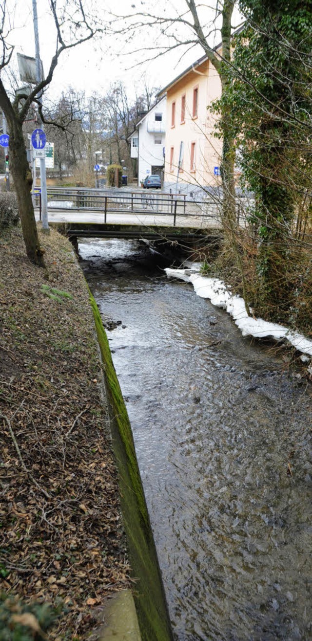 Die Schlosswegbrcke wird nicht saniert.   | Foto: Andrea Gallien