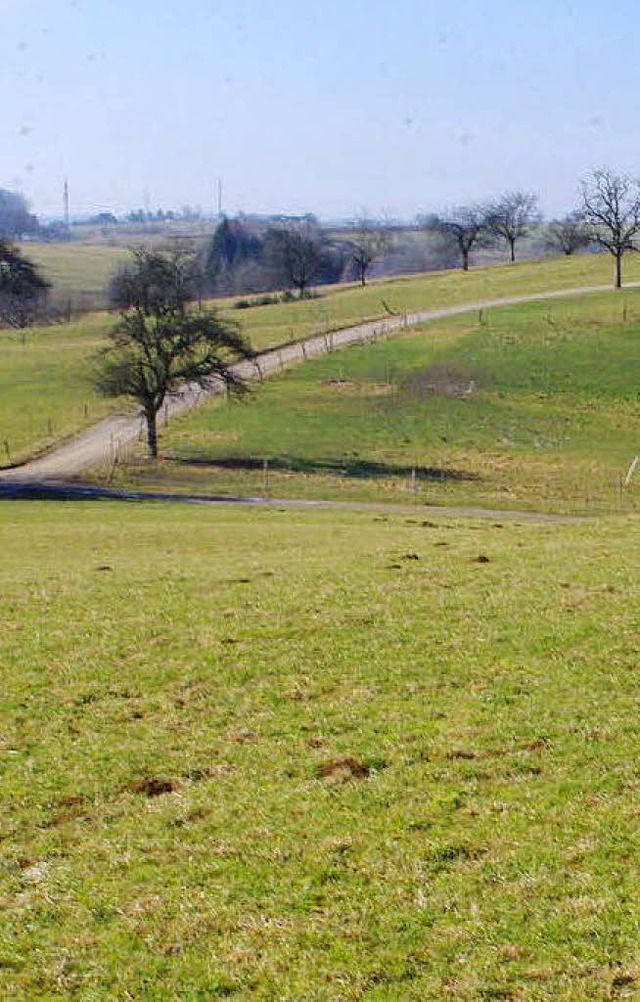 Oberhalb von Minseln sind  viele Flch...Auf ihnen wachsen Kruter und Grser.   | Foto: Rolf Reimann