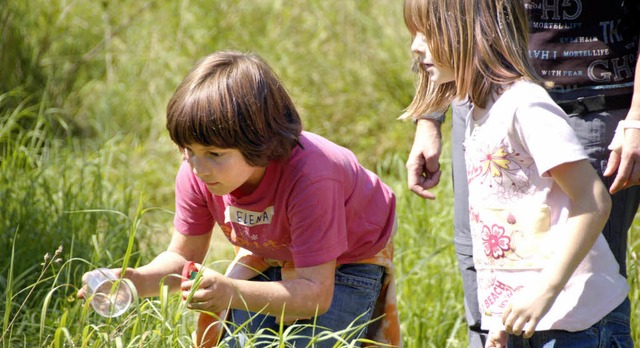 Kinder gehen konzentriert im grnen Klassenzimmer auf Heuschreckenjagd.   | Foto: Archiv: BZ