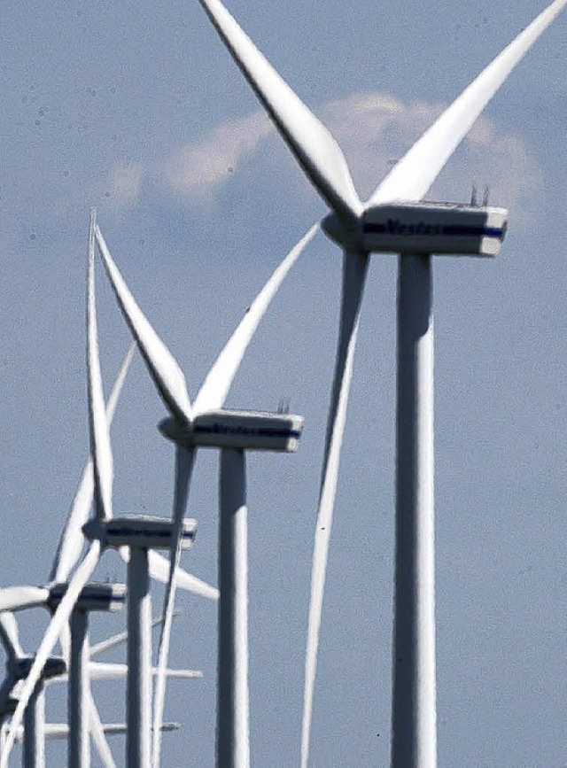 Artenschutz ein Totschlagargument gegen Windkraft?   | Foto: dpa