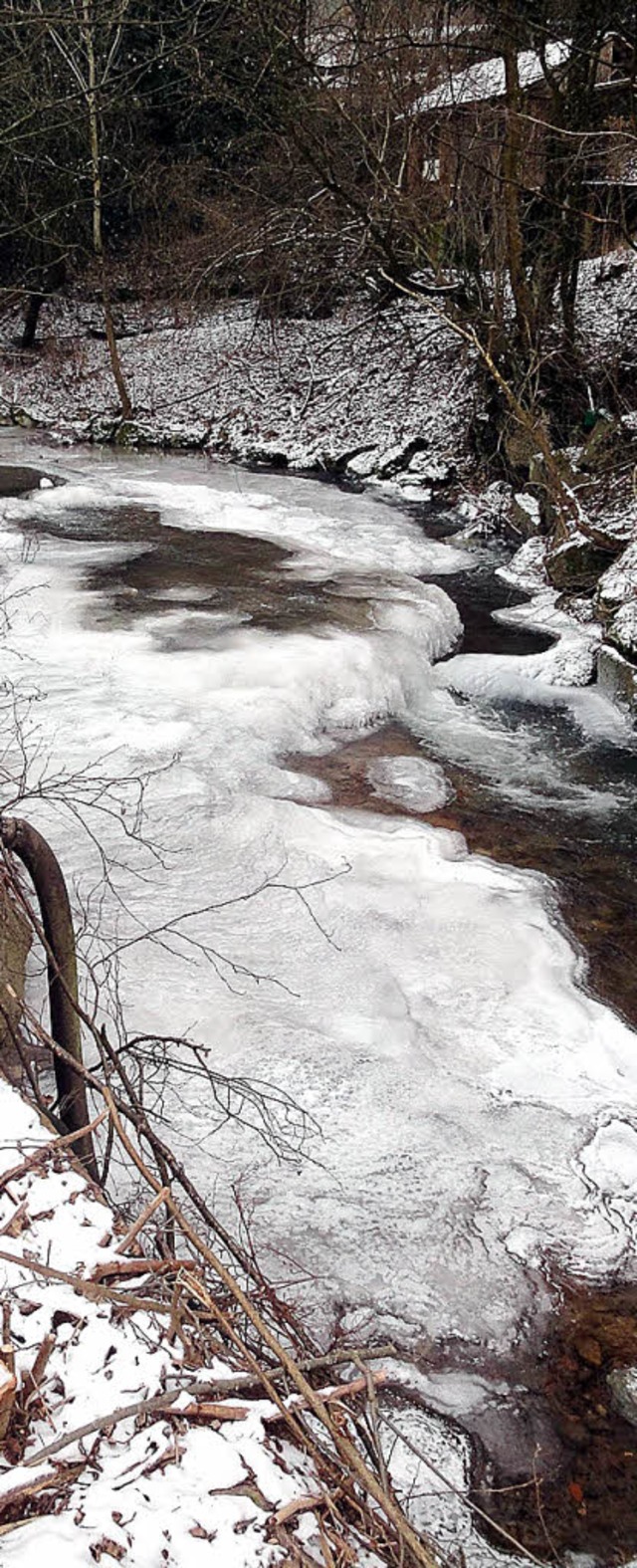 Was im Winter wild aussieht, ist im So...halb strker vor Wassernot geschtzt.   | Foto: Hartenstein