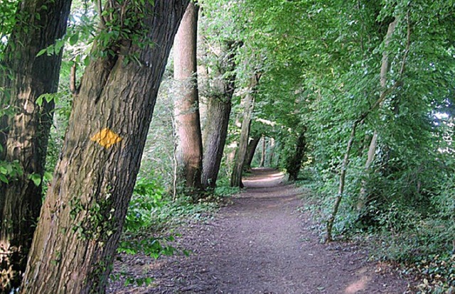 Der Deutschen liebster Aufenthalt ist der  Wald.   | Foto: privat