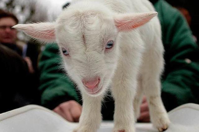 Fotos: (Tierisches) Frhlingserwachen in Deutschland