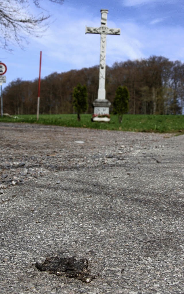 Das Schicksal dieser Krten teilen auf...eit Jahren Hunderte ihrer Artgenossen.  | Foto: Archivfoto: Katja Mielcarek