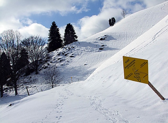 Gelbe Rauten weisen im Schwarzwald auf Schneeschuhpfade hin.  | Foto: Martina David-Wenk