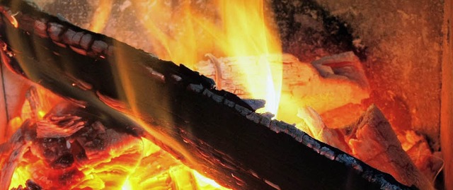 Holz soll als Energietrger im neuen S...ebiet Rundacker II zum Einsatz kommen.  | Foto: DAPD