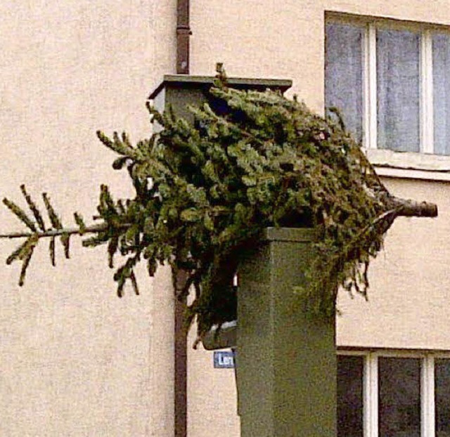 Hoch gelegt: Tannenbaum vor der Linse des Blitzers in der Kreuzstrae   | Foto: Bernhard Sandmann