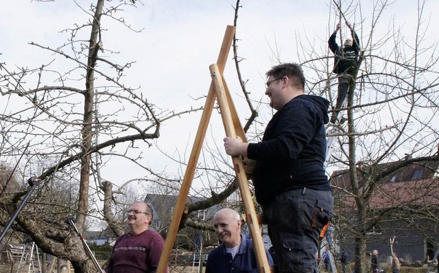 Klappt der Baumschnitt, kommt Freude auf.  | Foto: Ilona Hge