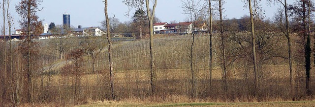 Unterhalb der Britschenhfe soll am  Feuerbach ein Biotop  entstehen.    | Foto: langelott