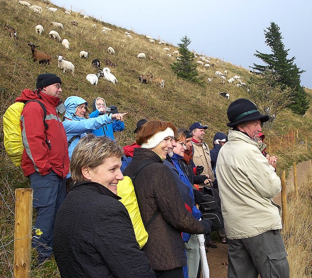 Bereits seit 13  Jahren bildet  die Vo... auch als Wanderscouts qualifizieren.   | Foto: VHS