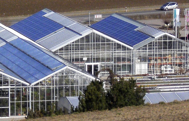 Mit 218 Quadratmetern (blauen) Solarmo...hre jhrliche Stromrechnung halbieren.  | Foto: Privat