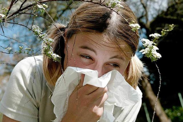 Hochschwarzwald will Allergiker als Touristen anlocken