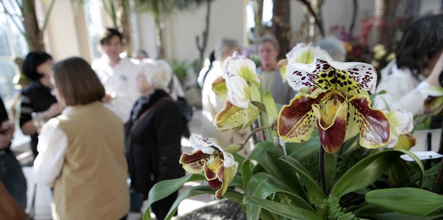 Erffnet wurde die Orchideenschau am F...groe Andrang folgte dann am Samstag.   | Foto: chr. breithaupt