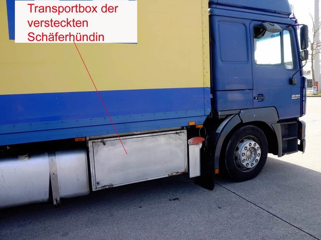 In dieser Box sollte der Hund von Kln nach Sizilien transportiert werden.  | Foto: Schweizer Zoll Basel