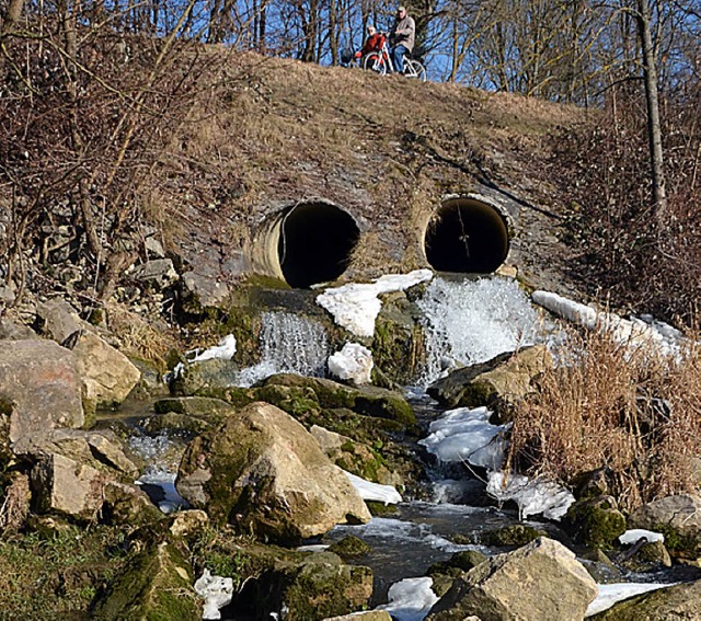 Der  alte Feuerbachentlastungskanal wi...inen naturnahen Bachlauf in den Rhein.  | Foto: Jochen Fillisch