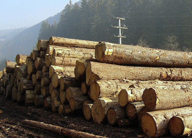 Mit dem Verkauf von Holz hat die Gemei...he von rund 34400 Euro erwirtschaftet.  | Foto: Ulrike Spiegelhalter